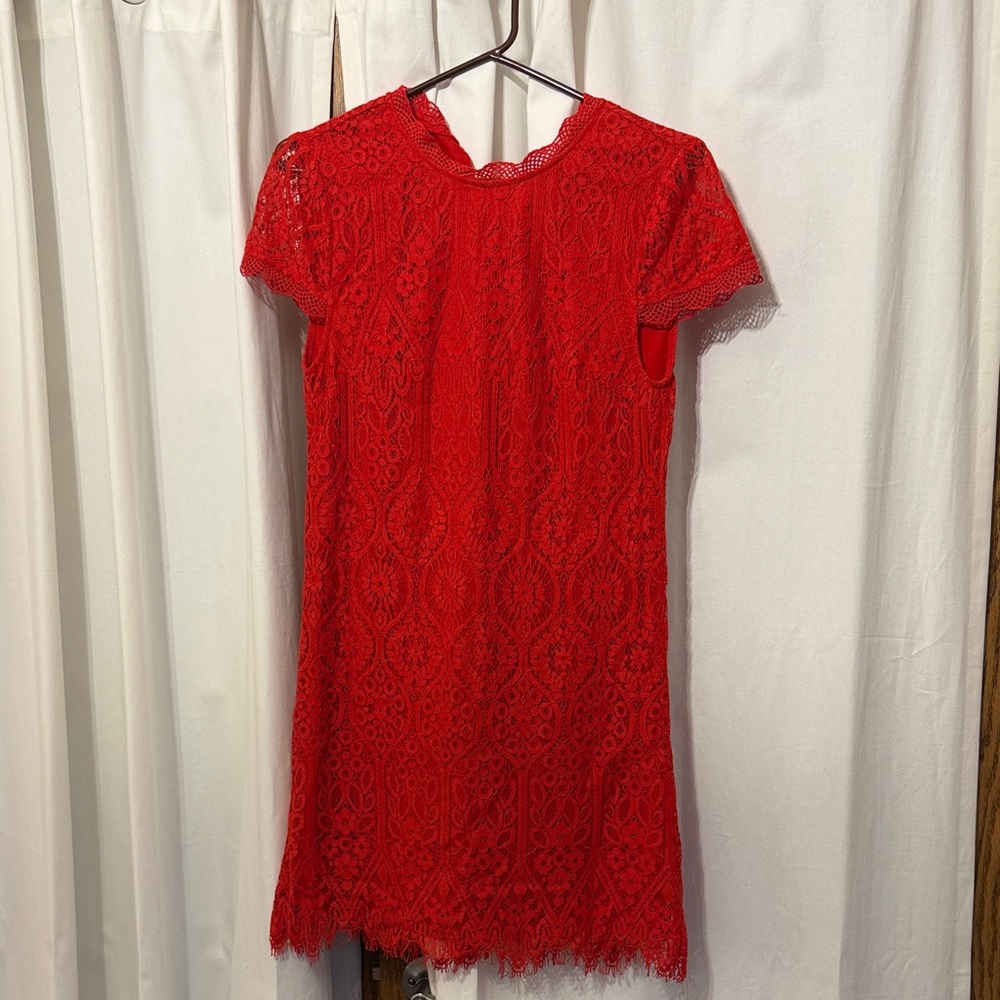Francesca's Collections Vibrant Red Lace Mini Dress